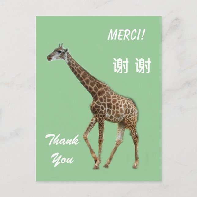 Dankeschön auf Englisch/Französisch/Chinesisch Postkarte (Vorderseite)