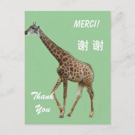 Dankeschön auf Englisch/Französisch/Chinesisch Postkarte