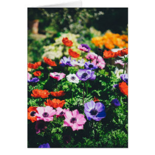 Dankeschön Blumen Garden Grußkarte