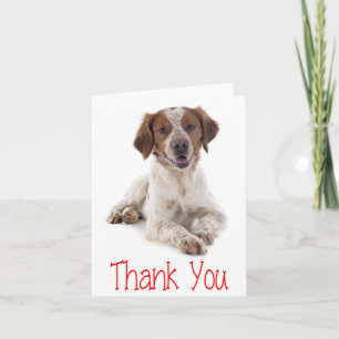 Dankeschön Brittany Spaniel Welpen Hund Karte