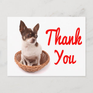 Dankeschön Chihuahua Welpen-Hund Postkarte