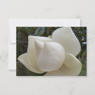 Dankeschön Karte mit weißer Magnolia-Blume