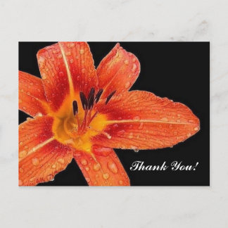 Dankeschön! Postkarte