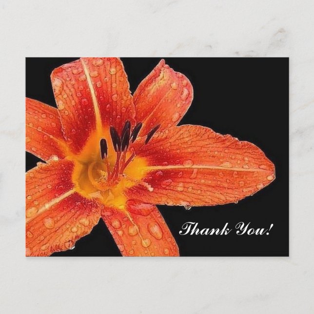 Dankeschön! Postkarte (Vorderseite)