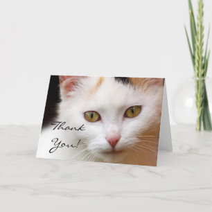 Dankeschön White Cat Grußkarte Dankeskarte