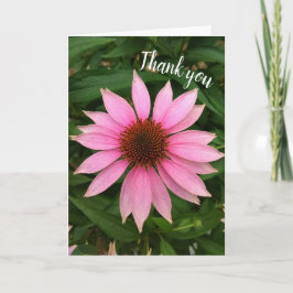 Dankeskarten mit hellvioletter Scheibenblume Dankeskarte