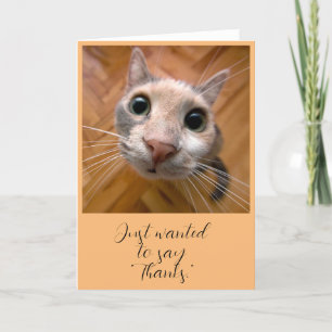 Dankeskarten mit roter Katze Dankeskarte