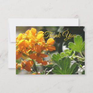 Dankeskarten mit Wildblumen-Motiv Dankeskarte