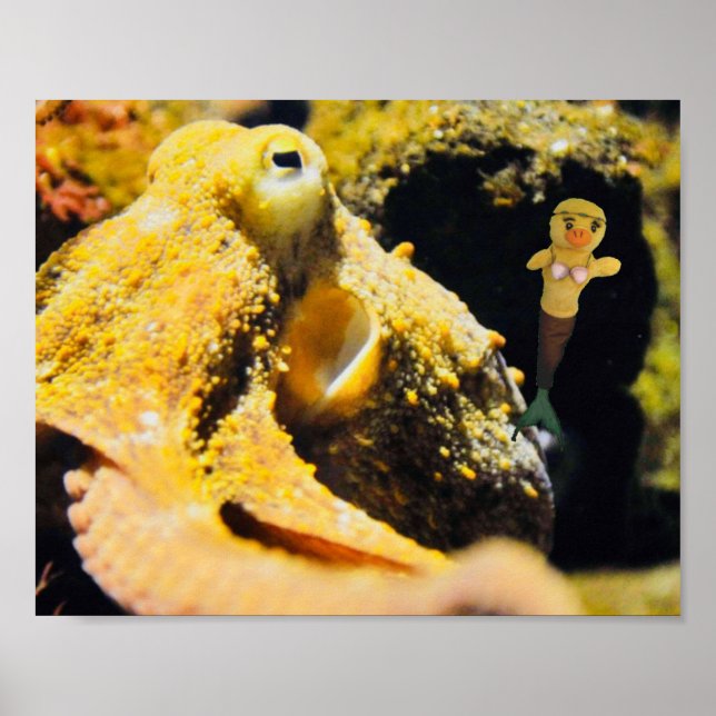 Danni das Meerjungfrau-Poster Poster (Vorne)