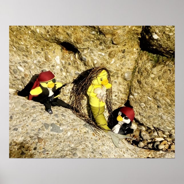 Danni, die Meerjungfrau und das Piraten-Poster Poster (Vorne)