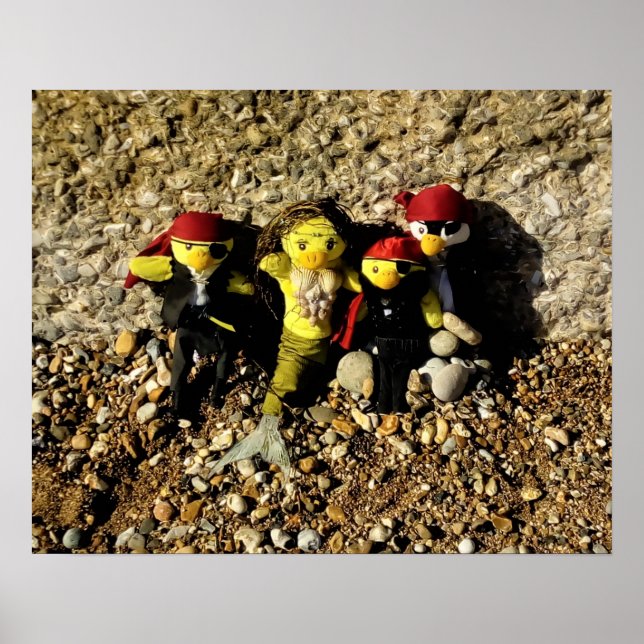 Danni die Meerjungfrau und das Pirates Poster (Vorne)