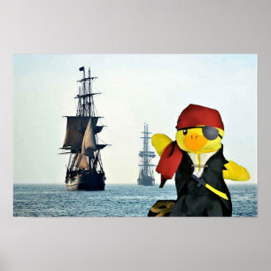 Danny Duck der Pirat. Poster