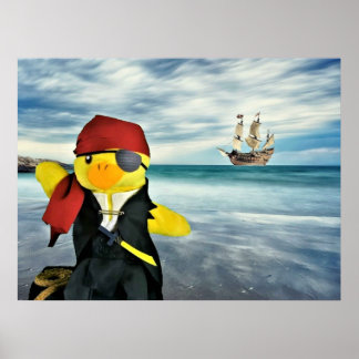Danny Duck der Pirat. Poster
