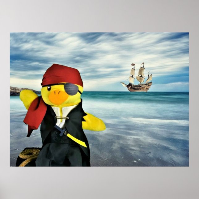Danny Duck der Pirat. Poster (Vorne)