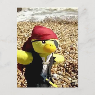 Danny Duck der Pirat Postkarte