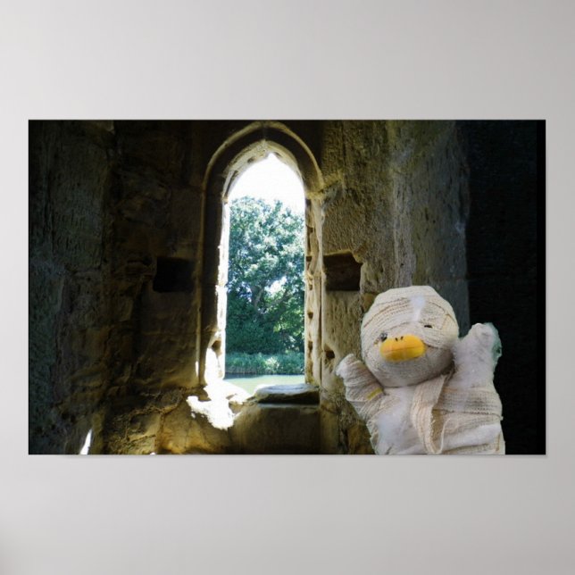 Danny Duck, die Mummy Poster (Vorne)