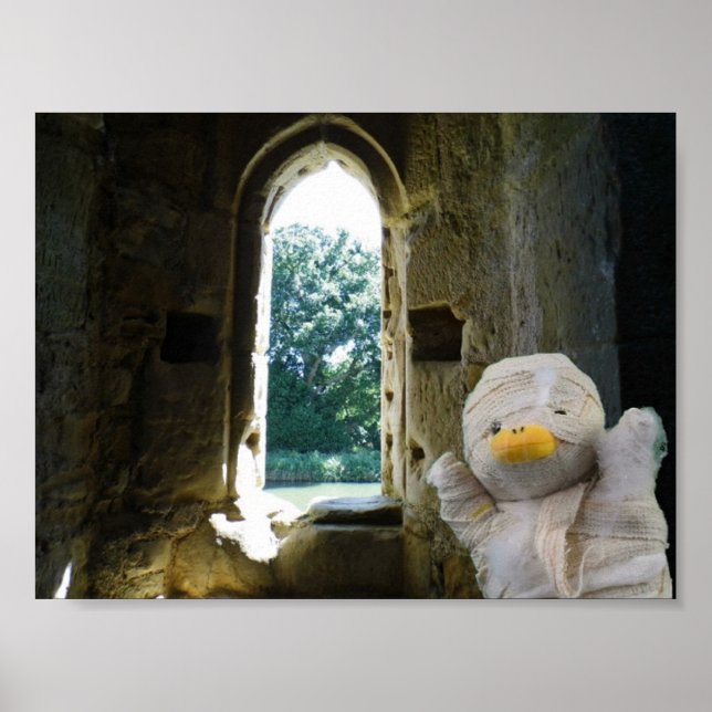 Danny Duck, die Mummy Poster (Vorne)