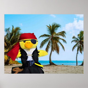 Danny Duck the Pirate. Poster
