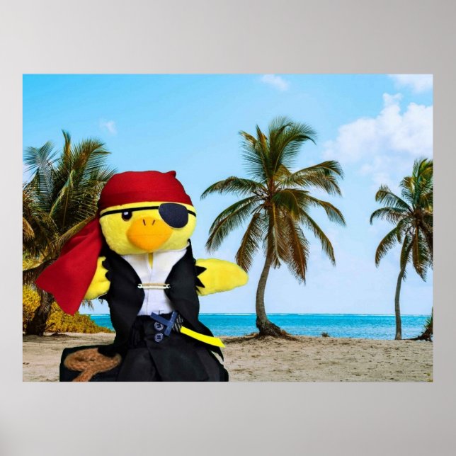 Danny Duck the Pirate. Poster (Vorne)