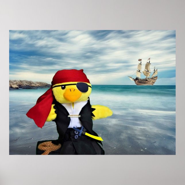 Danny Duck the Pirate. Poster (Vorne)