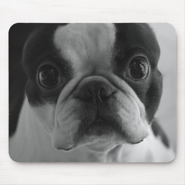 Danson Boston Terrier Mousepad (Vorne)