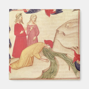 Dante reinigt sich vor der Einreise Magnet