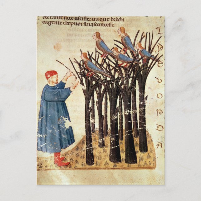 Dante und die Soule umgewandelt in Vögel Postkarte (Vorderseite)