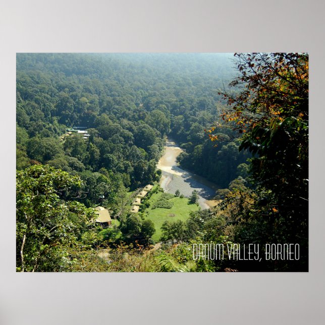 Danum Valley Borneo Rainforest Jungle Scene Poster (Vorne)