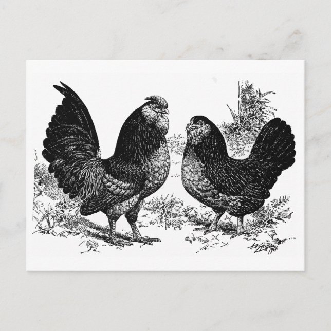 d'Anver Club Postkarte (Vorderseite)