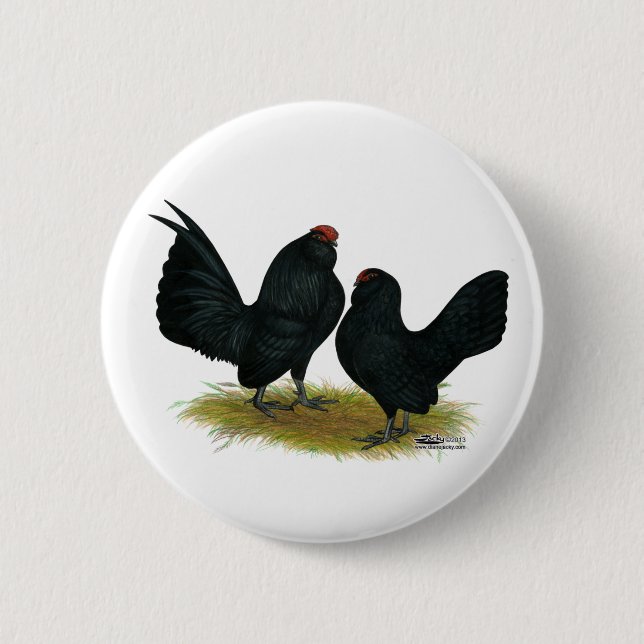 D'Anvers Black Bantams Button (Vorderseite)