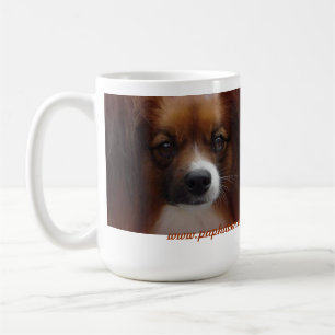 DAPF TASSE