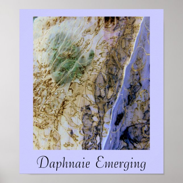 Daphnaie Emerging Poster (Vorne)