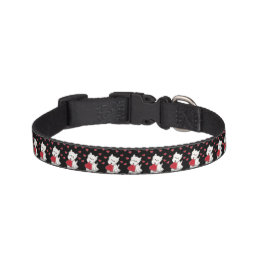 Daphne Haustierhalsband