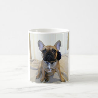 Daphne Kaffee-Tasse Tasse
