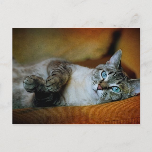 Daphne Postkarte (Vorderseite)