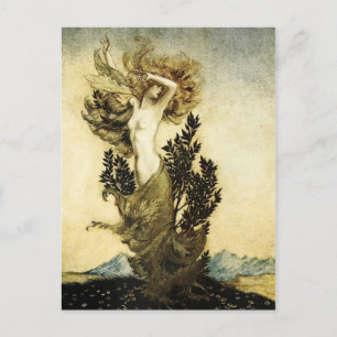 Daphne's Metamorphose in einen Baum Postkarte