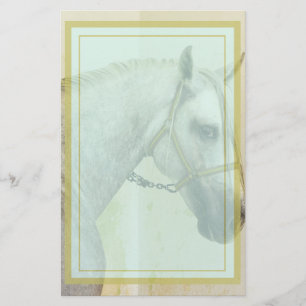 Daple Gray Andalusisches Pferd Briefpapier