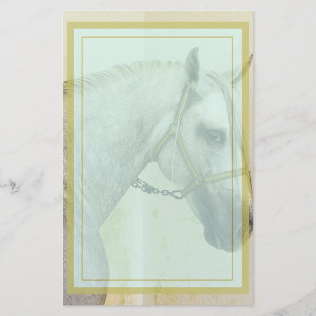 Daple Gray Andalusisches Pferd Briefpapier (Vorderseite)