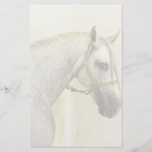 Daple Gray Andalusisches Pferd Briefpapier