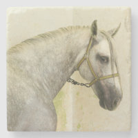 Daple Gray Andalusisches Pferd