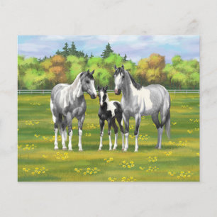 Daple Gray Pinto Paint Horses In Summer Pasta