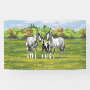 Daple Gray Pinto Paint Horses In Summer Pasta Banner