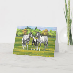 Daple Gray Pinto Paint Horses In Summer Pasta Karte