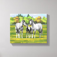 Daple Gray Pinto Paint Horses In Summer Pasta