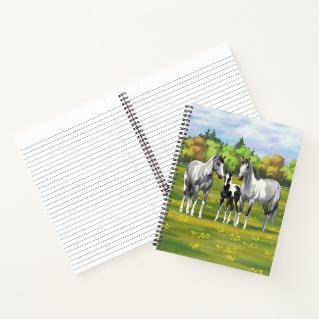 Daple Gray Pinto Paint Horses In Summer Pasta Notizbuch (Innenseite)