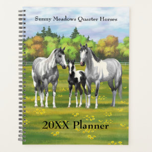 Daple Gray Pinto Paint Horses In Summer Pasta Planer