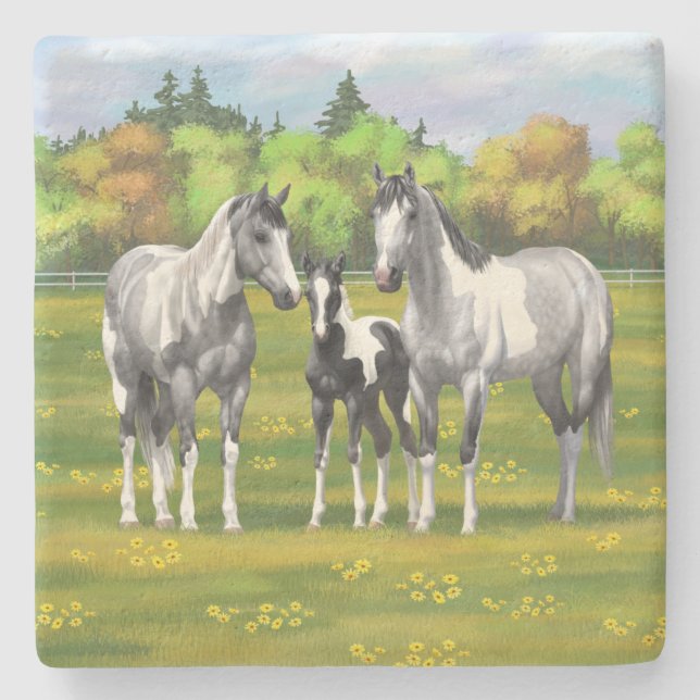 Daple Gray Pinto Paint Horses In Summer Pasta Steinuntersetzer (Vorderseite)