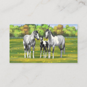 Daple Gray Pinto Paint Horses In Summer Pasta Visitenkarte