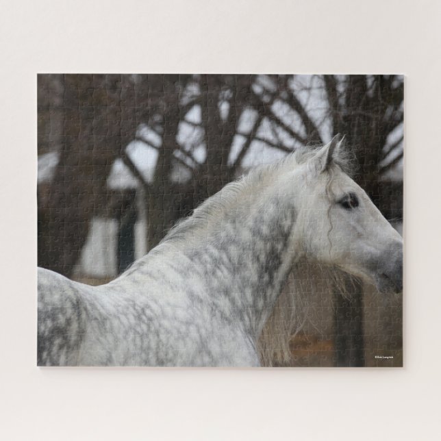 Dapple Gray Andalucian Stallion Headshot Puzzle (Horizontal)