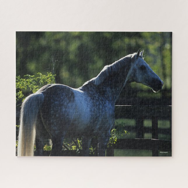Dapple Gray Hanoverian Hallion Stehend Puzzle (Horizontal)